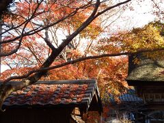 長寿寺