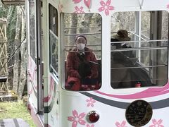 さすが吉野　桜柄