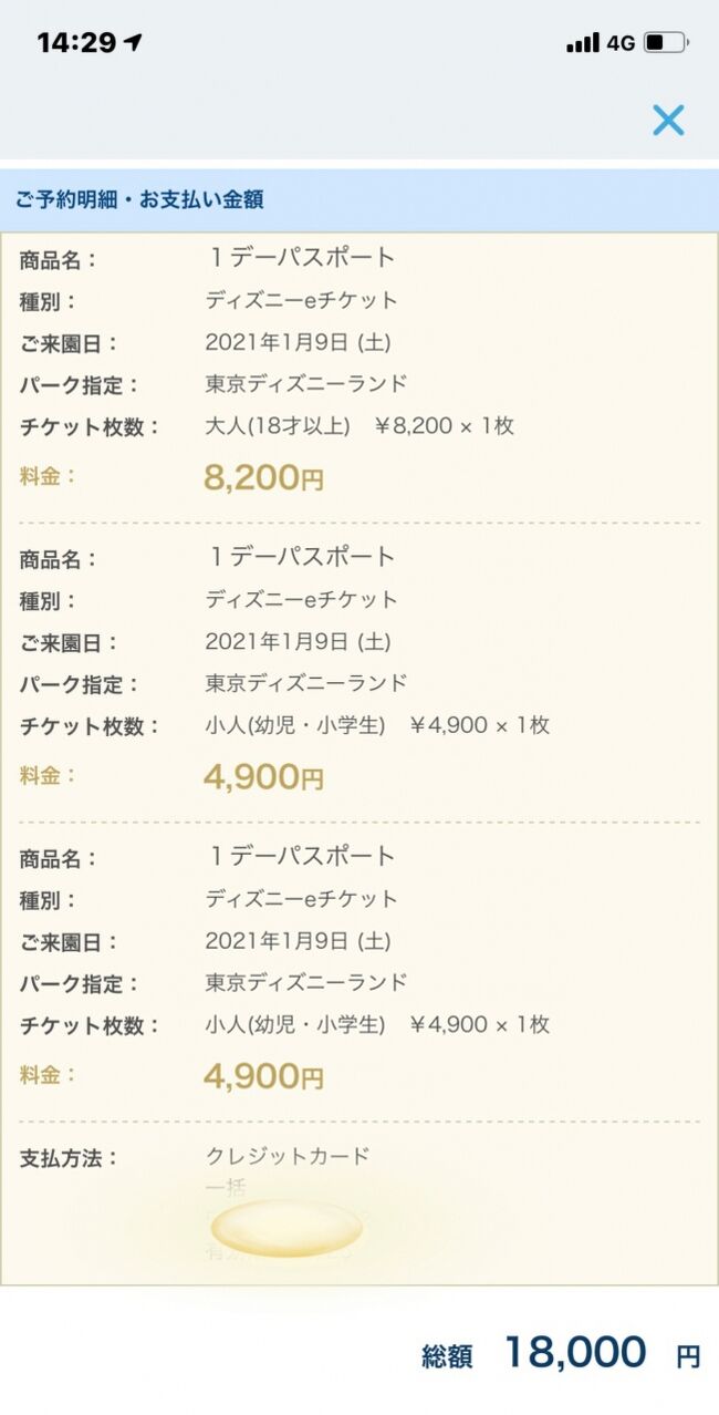 21年1月リベンジも夢に 新エリア招待チケットに便乗tdl 5歳0ヶ月 東京ディズニーリゾート 千葉県 の旅行記 ブログ By Akoさん フォートラベル