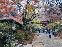 日没が早い時期だから
すっかり夕方の様相

でもまだ行くわよ！
続いては小倉山の中腹にある
「常寂光寺」
