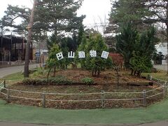 ノープランでしたが、さっぽろ円山動物園へ行きました。