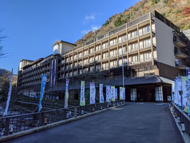 箱根フリーパスでお得に1泊2日箱根旅行 再び大涌谷へ 箱根湯本の天成園で宿泊 箱根湯本温泉 神奈川県 の旅行記 ブログ By Paendoさん フォートラベル