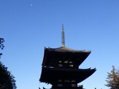 猿沢池の端にある南円堂に続く階段を上り途中で左に曲がると、右手にはお地蔵さんたちがいらっしゃって、その奥突き当りに可愛らしい国宝三重塔がある。
青空にはまだ月が残っている。