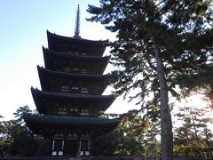 国宝だらけの興福寺。
言わずと知れた五重塔。