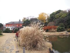 【小石川植物園　以前から気になっていたモミジの並木と雑木林の紅葉を見てきました】
　