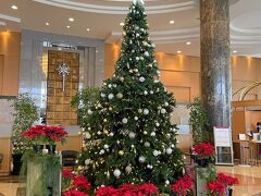 １１／２３
最終日。「ANAクラウンプラザホテル富山」のロビーにはクリスマスツリー。もうすぐ年末月ですね。