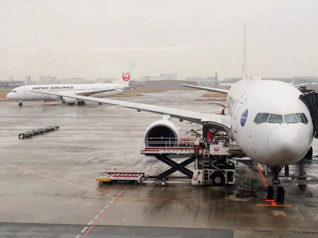 羽田空港 Jal461便 徳島行 搭乗 46a 花の楽園 自動運転車イス 稼働中 世界初 羽田 東京 の旅行記 ブログ By マキタン２さん フォートラベル