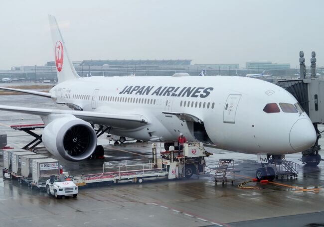 羽田空港 Jal461便 徳島行 搭乗 46a 花の楽園 自動運転車イス 稼働中 世界初 羽田 東京 の旅行記 ブログ By マキタン2さん フォートラベル 羽田空港 Jal461便 徳島行 搭乗 46a 花の楽園 自動運転車イス 稼働中 世界初 羽田 東京 の旅行記 ブログ By マキタン2さん フォートラベル