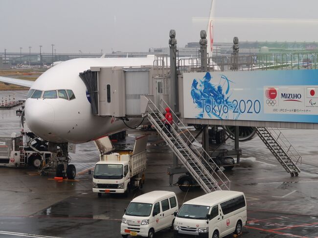 羽田空港 Jal461便 徳島行 搭乗 46a 花の楽園 自動運転車イス 稼働中 世界初 羽田 東京 の旅行記 ブログ By マキタン2さん フォートラベル 羽田空港 Jal461便 徳島行 搭乗 46a 花の楽園 自動運転車イス 稼働中 世界初 羽田 東京 の旅行記 ブログ By マキタン2さん フォートラベル