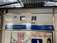 福井駅に戻ってきました。