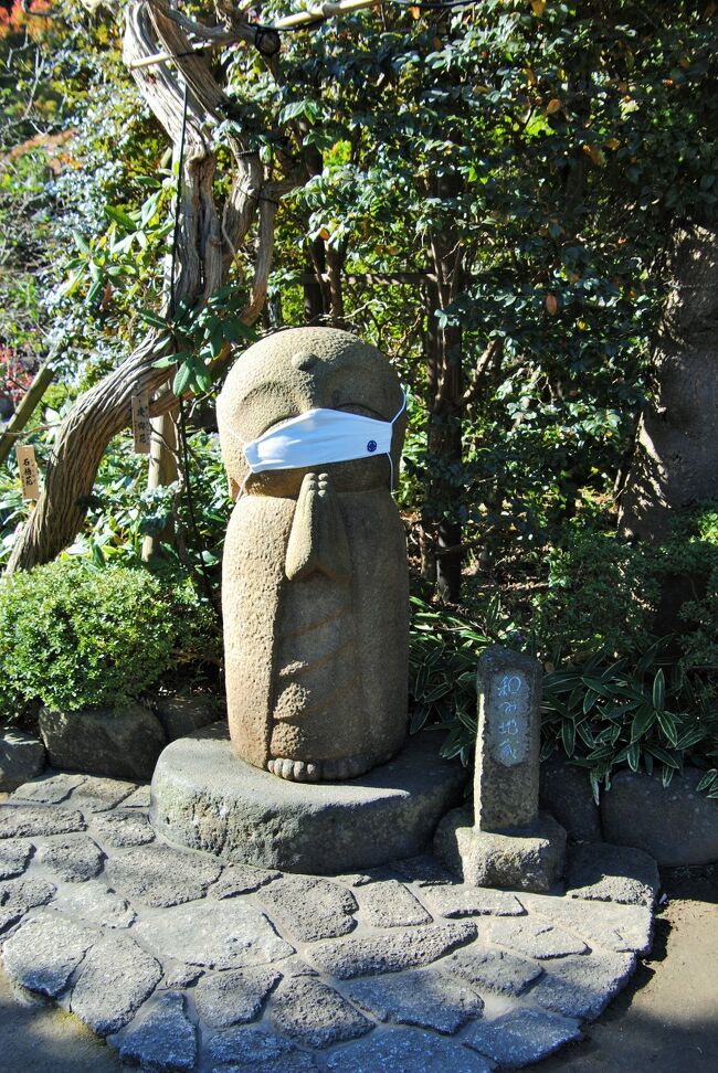 県内旅行で鎌倉から葉山へ 長谷寺へ 鎌倉 神奈川県 の旅行記 ブログ By Nichiさん フォートラベル