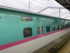 東京駅に着いてすぐ東北新幹線「なすの」に乗り換えです。
２０２１年３月３１日までJR東日本が東北新幹線と北陸新幹線の決められた区間だけネット予約限定で半額キャンペーンをしておりそれを利用して乗車しました。当日利用するICカードのIDナンバーを登録して改札にカードをかざすだけで新幹線に乗車できる便利なサービスですが、東海道新幹線にキャッシュレス（EX)で乗ってきた場合の乗り継ぎが一旦改札外に出ないと行けないのでややこしくて１３分で大丈夫かなと不安に思いながらYOUTUBEで確認して結構スムーズにいけ、無事ホームで同行のお友達２人と逢えました。