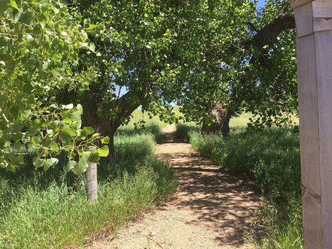 説明ボードの横には歩いて行けるトレイルがあります。