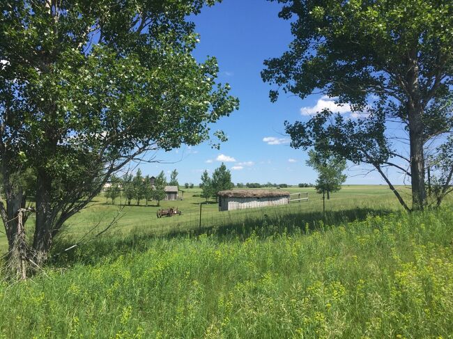 きっとこの農地に行くには、柵の横の道と推測し、その道を行くことにしよう。