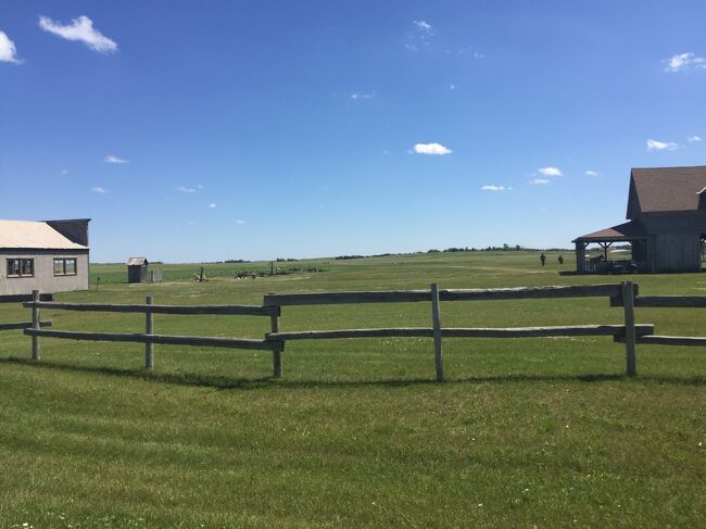 観光客はいますが、入り口はこちらではなさそうです。