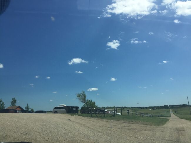 何台も観光客の車があるので、自分の車も停めます。