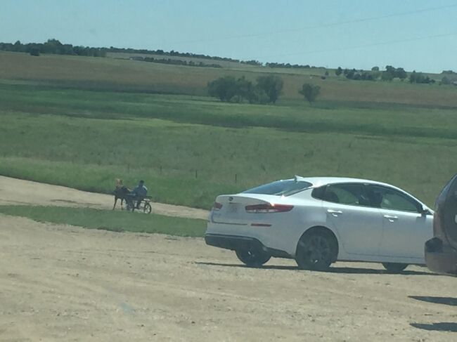 車を停めて降りると、小さな馬車が通っていくのが見えます。