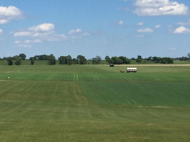 ツアーではあの馬車に乗れるようです。