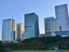 メズム東京が入っている、ビル群を、浜離宮恩賜庭園から
Stayした後に散策した折に撮りました
