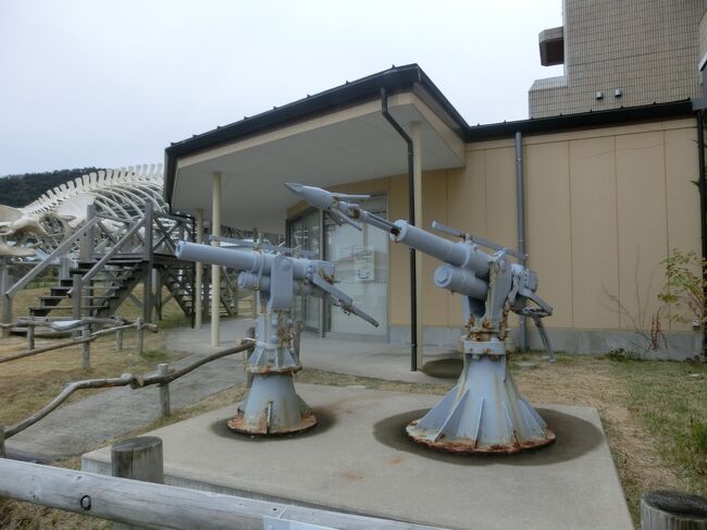 2020冬 千葉2:崖観音(大福寺)、野島埼灯台と房総半島最南端、くじらの道の駅 和田浦WA・O