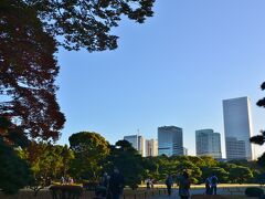 レイトチェックアウトして、一端荷物を東京駅へおいて
電車で秋の浜離宮庭園を散策に来ました