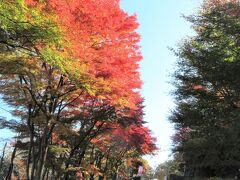 城峯公園を散策