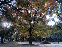 高知城西公園の紅葉。