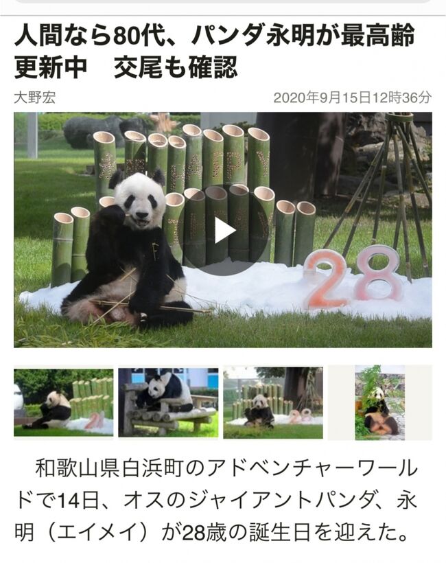 心にsmile 憧れのパンダ天国白浜へ Vol 2 南紀白浜 和歌山県 の旅行記 ブログ By のっこさん フォートラベル