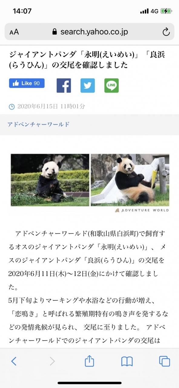 心にsmile 憧れのパンダ天国白浜へ Vol 2 南紀白浜 和歌山県 の旅行記 ブログ By のっこさん フォートラベル