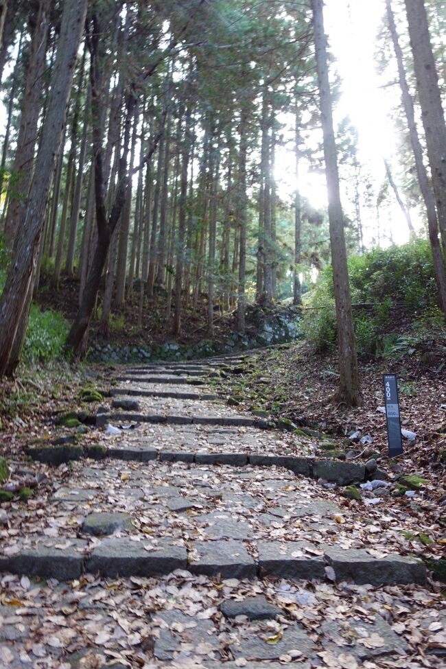Goto岐阜 岩村城と苗木城 この古民家ゲストハウスに泊まりたくて の巻 恵那 岐阜県 の旅行記 ブログ By ハナコさん フォートラベル Goto岐阜 岩村城と苗木城 この古民家ゲストハウスに泊まりたくて の巻 恵那 岐阜県 の旅行記 ブログ By ハナコさん フォートラベル
