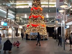 相模大野駅のクリスマスツリー