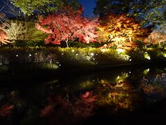 翌々日は、東寺のライトアップへ。
慶賀門を入ってすぐの宝蔵を守る堀から、すでにこの状態