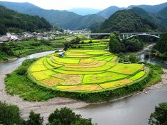 そして、道の駅から坂道を上っていくと、あらぎ島を眺められる展望台があります。あらぎ島とは、1655年当時の庄屋だった人が開発した扇状に広がる棚田で、日本でも珍しい景色として注目されるようになり、今では和歌山を代表する観光スポットの1つになっています。