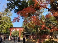 真っ赤な紅葉越しの三の鳥居。