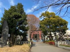 来年、十日市の開かれる氷川神社へ。