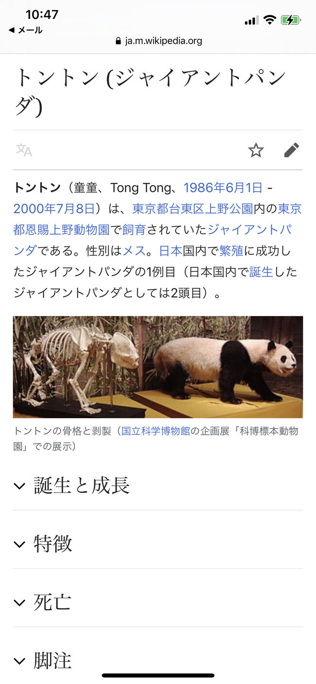 心にsmile 憧れのパンダ天国白浜へ Vol 2 南紀白浜 和歌山県 の旅行記 ブログ By のっこさん フォートラベル
