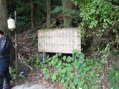 かずら橋からすぐ近くにある
「琵琶の滝」

ここも平家の落人伝説にゆかりある場所です。