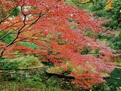 広さは２０万平方ｍあるそうです。

東京のど真ん中に、こんなに広い自然の公園があるとは驚きでした