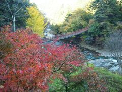 あれれ、紅葉は綺麗ですがこの時間はまだ陽が当たらず。何となくそういう予感はありましたが…。十里木駐車場のベンチでお茶を飲みながら30分ほど待つも、まだまだ掛かりそう。散策後にもう一度戻ってくることにして、まず広徳寺へと向かいましょう。