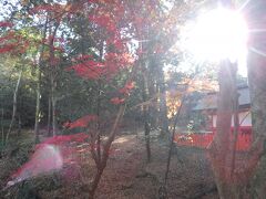 長い参道を歩き、二之鳥居をくぐって左に曲がり、水谷神社の前へ。
紅葉を背景に若者たちが写真を撮っていた。
