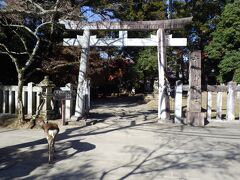 北ゲートを出ると右に進む。
手向山八幡宮様が鎮座されている。
東大寺様の鎮守社だ。