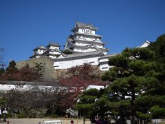 松と城の取り合わせは見事な情景。