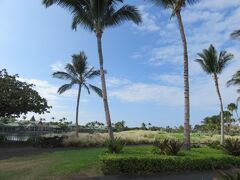 １１月２４日午後２時。
ハワイ島ワイコロアのコンドミニアム「フェアウェイ・ヴィラズ・ワイコロア by アウトリガー」
のんびり過ごすハワイ時間♪