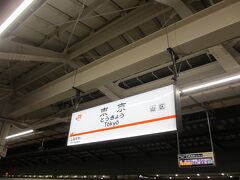 20：45　東京駅　着
　添乗員さんについていくので精一杯の混雑ぶり。

21：05　東京駅を出発
帰りはＪＲ線を利用して帰ることに。
