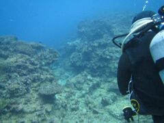 旅の６日目。
読谷村のアリビラから車で沖縄本島東海岸の金武町まで来てダイビング。
インストラクターのあゆみさん（マリンサービスむるぬーし）に連れて行ってもらいました。