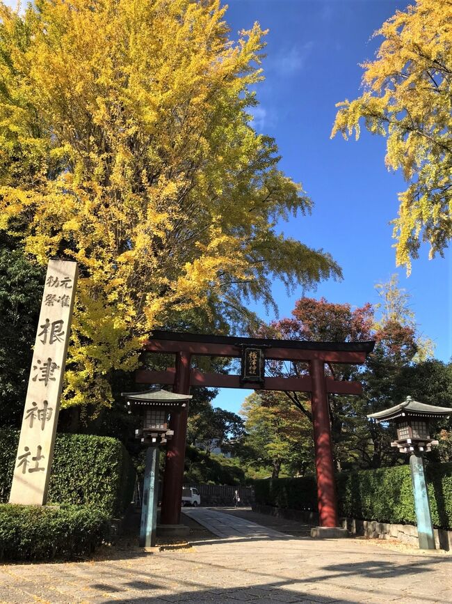 ２０１９年１２月そして２０２０年ご近所の＜銀杏の木のある風景＞』東京の旅行記・ブログ by 紅映さん【フォートラベル】