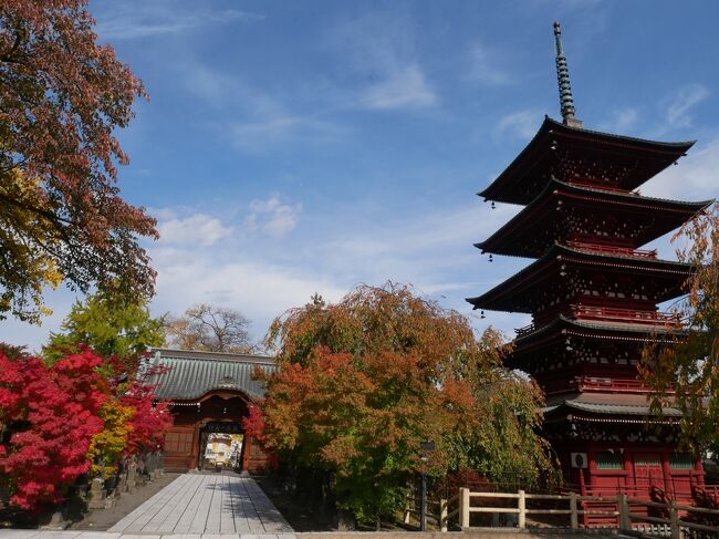 秋の青森旅行その4 弘前市内をサイクリングして奇跡のリンゴ冷製スープのフレンチランチ 弘前 青森県 の旅行記 ブログ By Rinさん フォートラベル 秋の青森旅行その4 弘前市内をサイクリングして奇跡のリンゴ冷製スープのフレンチランチ 弘前 青森県 の旅行記 ブログ By Rinさん フォートラベル