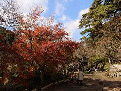 その後到着したのは、熱海梅園。