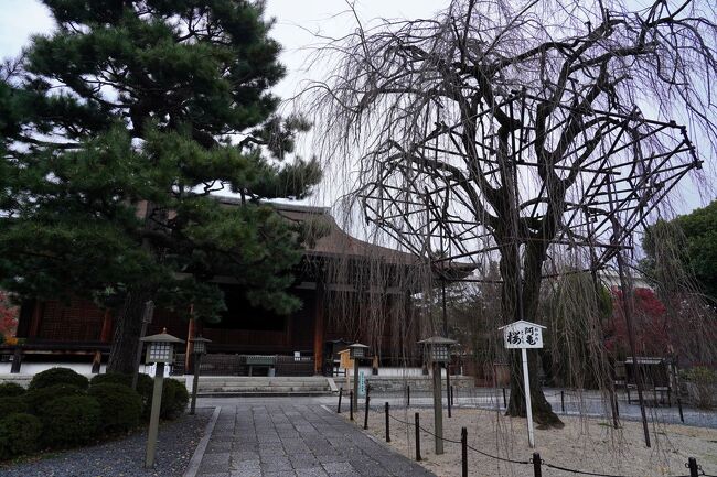 千本通に出て、千本今出川の交差点を渡り、五辻通まで北上する。<br />五辻角で五辻通に入り、西へと歩いて行く。<br />途中に気になる町屋喫茶があったが、混んでいたので諦める。<br />その先に、千本釈迦堂と呼ばれる大法恩寺があった。<br />その寺の本堂は、安貞元年(1227)の創建当時のもので、京都市内に残る最古の仏殿建築らしく、国宝に指定されていた。<br />その本堂の前には、阿亀桜と言う枝ぶりの良い枝垂桜があり、開花期には美しい姿が観られそうだ。