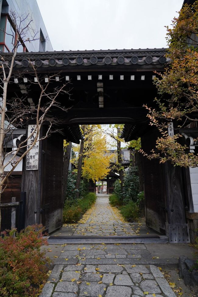 駅の手前で、立派な門の奥に色づいた銀杏の木を見つけた。<br />ふらりと入ってみると、思いのほか大きな寺院だった。<br />壇王法林寺と言う寺で、本堂などは江戸時代に建てられたものだそうだ。